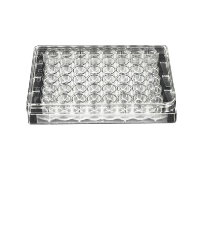 Cell Culture Plate